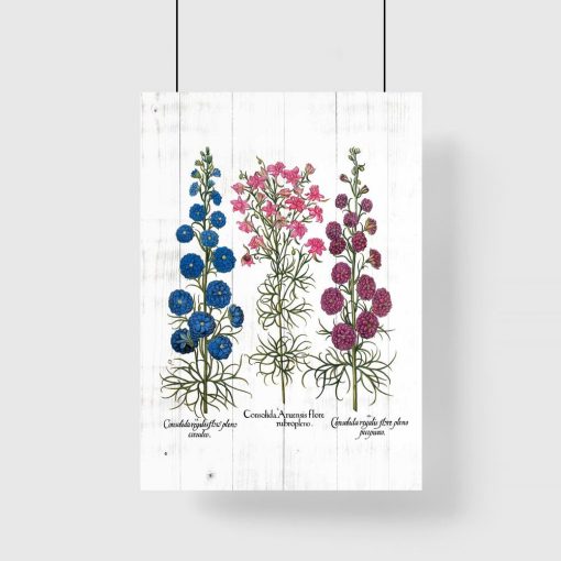 Plakat gatunki roślin zielnych na tle desek