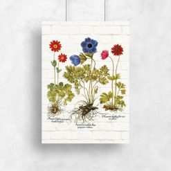 Plakat z anemonami