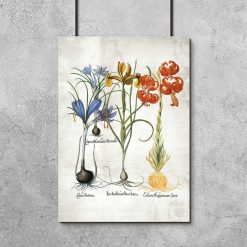 Plakat z kolorowymi kwiatami jako pomoc naukowa