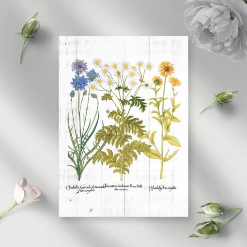 Plakat z kwitnącymi roślinami na tle dsek
