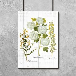Plakat z roślinami i deskami