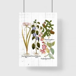 Rustykalny plakat z roślinami ozdobnymi