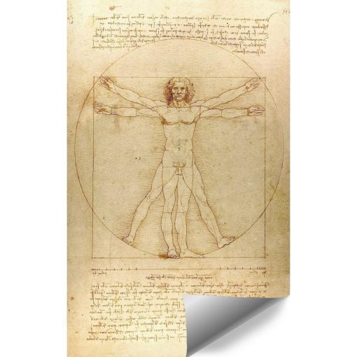 Foto-tapeta z reprodukcją rysunku Leonarda da Vinci do klubu