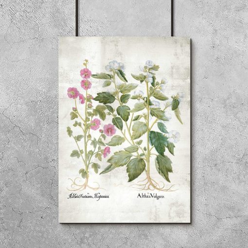 Plakat z kwiatami różowymi