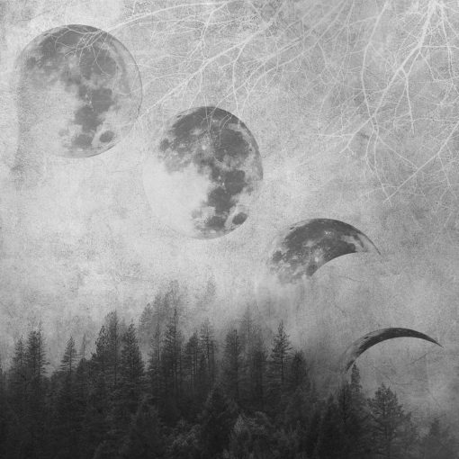 Fototapeta z fazami księżyca nad drzewami