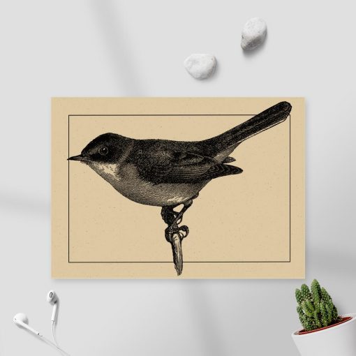 Szary ptaszek na plakacie - rycina