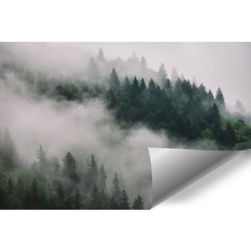 Fototapeta pejzaż - drzewa we mgle