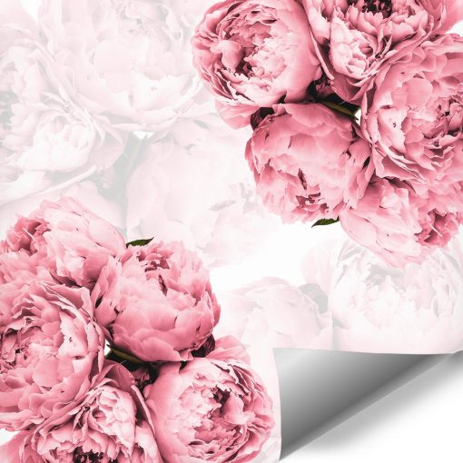 Fototapeta z różowymi kwiatami