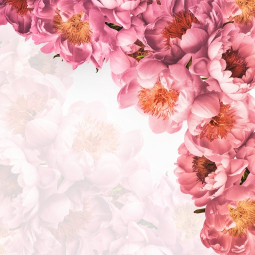Tapeta z różowymi kwiatkami
