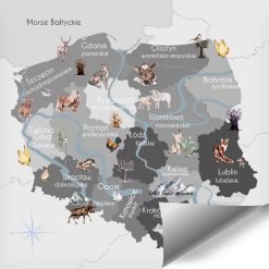 Tapeta z Polską - mapa